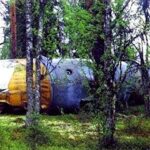 森の中での最も驚くべき発見 TOP６！