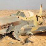 砂漠での最も驚くべき発見 TOP６！