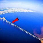 なぜアマゾン川には橋が一本もないのか？地球上で最も驚くべき大河！