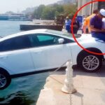 人間不信を吹き飛ばす!カメラが収めた心温まる行動集