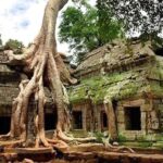 再発見！ 驚くべき古代都市とその建造物 トップ６