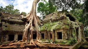 再発見！ 驚くべき古代都市とその建造物 トップ６