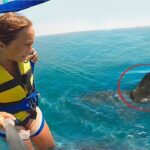 カメラが捉えたあり得ない瞬間！