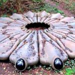 驚愕！森の中で見つけた驚くべきものＴＯＰ6