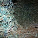 3.5トンもの古銭を発見！最強に面白い考古学的発見ＴＯＰ６