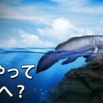 生命はどのようにして陸上へ進出したのか?