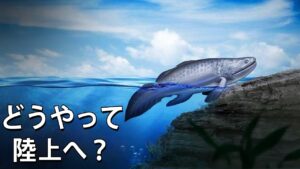 生命はどのようにして陸上へ進出したのか？