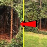 地球上で最も謎に包まれた場所とそこでの発見！