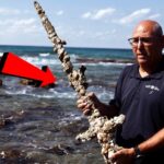 最もすごい発見TOP6!