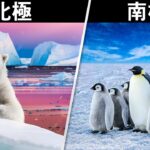北極と南極って、何が違うの？