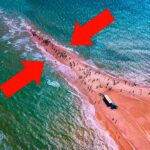 自然法則が通用しないかのような場所 トップ6