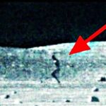 人類が月へ行かなくなったのはなぜ？