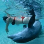 身の毛もよだつ、イルカたちのダークサイド！