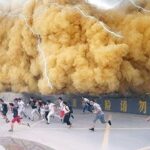 もっとも危険な自然現象トップ9