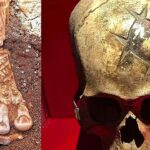 歴史の常識が塗り変わる! 考古学者による驚くべき発見トップ8