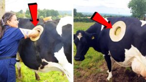 もっとも衝撃的な農業機械TOP15