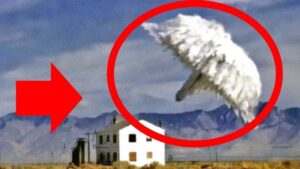 破壊力バツグン！特殊な爆弾トップ５！