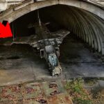 辺境の地で発見された最も驚くべきもの７選