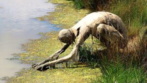 沼で発見された意外なものや恐ろしいものTOP10