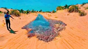 カメラがとらえた信じられない瞬間15選！