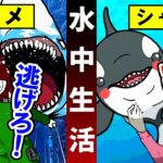 シャチが人間を食べない理由とは?→24時間一緒に水中で暮らしてみた結果…