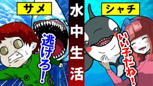 シャチが人間を食べない理由とは？→24時間一緒に水中で暮らしてみた結果…