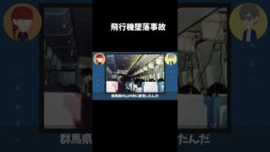 飛行機の墜落事故…死後直前の写真 #怖い話 #意味怖#shorts