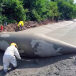 信じられないような驚愕の機械15選