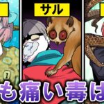 最も一番痛い毒はどれ?最強の毒を持つ生物に襲われた!?