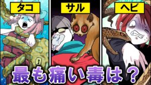 最も一番痛い毒はどれ？最強の毒を持つ生物に襲われた！？