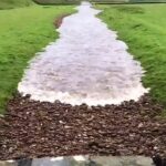 10億にひとつ!カメラに収められた貴重な瞬間!