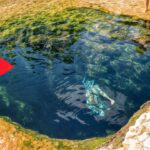 最も危険なダイビングスポット、トップ5