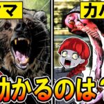 【カバvsクマ】逃げろ!!生き残れるのはどっち?
