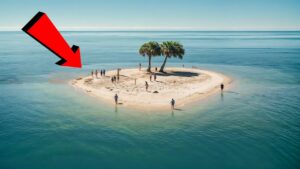 海で遭難した人々　ー　極限状態で奇跡的に生き延びた人々の物語