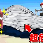 【危険】海辺で死んだクジラに絶対近づいてはいけません!!!