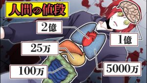 人間のカラダはいくらで売れるのか？全ての臓器をバラされ売られてしまう…【総集編】