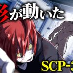 【SCP】勝手に動く不気味な棒人間に襲われた人の末路...