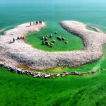 科学者が解明できない謎トップ5