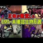 【衝撃】正体が判明した未確認生物が恐ろしすぎる…