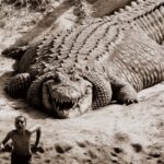 300人の命を奪った人食いワニ