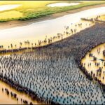 中国が砂漠に数百万トンの水を流し込むと、 何が起こるのか？