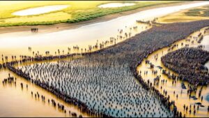 中国が砂漠に数百万トンの水を流し込むと、 何が起こるのか？