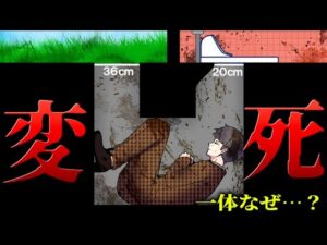 【総集編】【未解決事件】どうやって入った？狭すぎる空間で発見された「便槽内怪死事件」