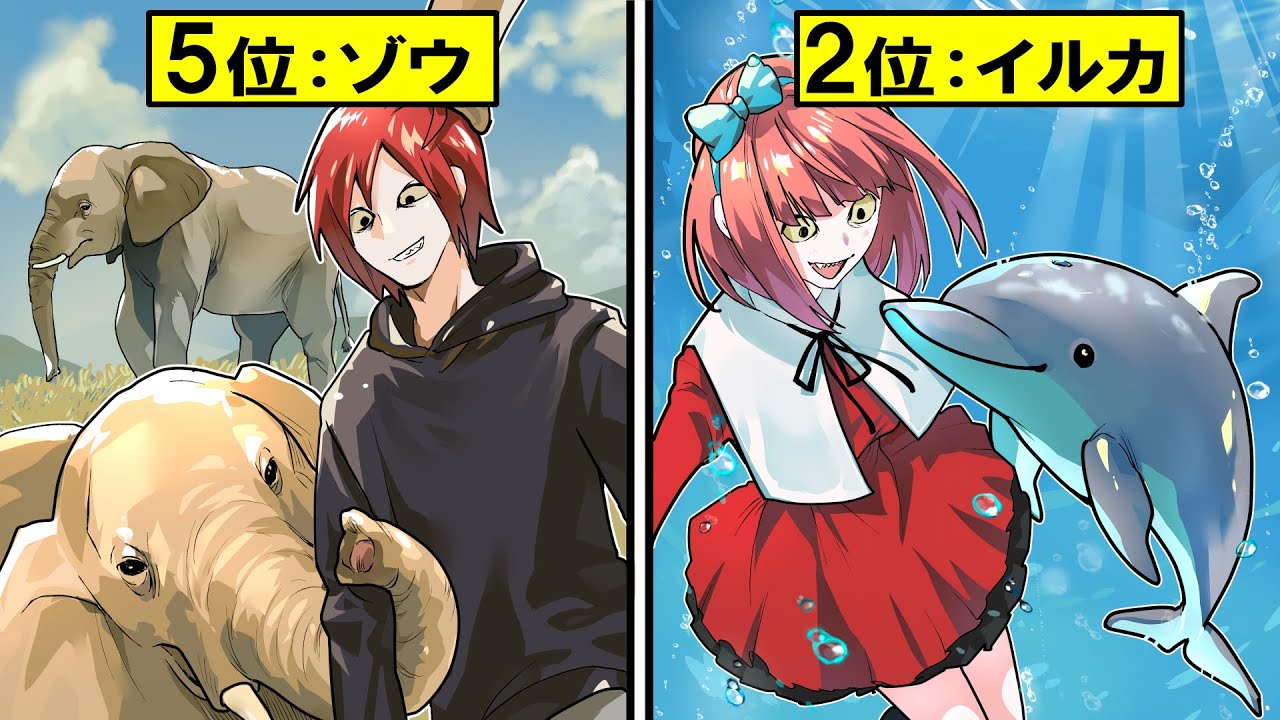 【知能ランキング】本当に賢い動物ベスト10!1位は意外なあの生き物!?