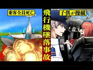 【実話】子供を操縦席に座らせた航空事故の悲劇