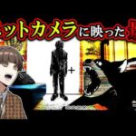 【ヒトコワ】ペットカメラを見たら正体不明の不審者が侵入していた…