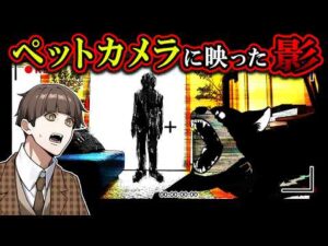 【ヒトコワ】ペットカメラを見たら正体不明の不審者が侵入していた…