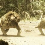 地球はこれまでに5回もリセットされてきた！次はさらに恐ろしいものになる！