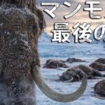 マンモスの最後の日