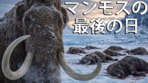 マンモスの最後の日
